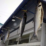 よってけ まるとみ - 