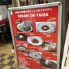 DREAM ON TAIGA - 