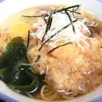 峠そば - 【'15/01/27撮影】かき揚げ玉蕎麦 430円