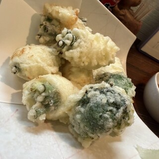 旬魚菜 しら川_1