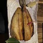 新橋酒場 横綱 - 