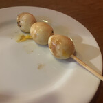 鳥さわ ジグボーンクラブ - 