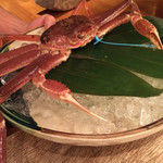 山中温泉　花紫 - 