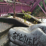 山中温泉　花紫 - 宿の近くを散策