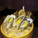 牡蠣海鮮料理 かき家 こだはる - 比較的大きめの牡蠣、味わい濃厚で日本酒によく合います。産地によってこれほど味が違うことに驚きます！