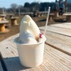 服部牧場アイスクリーム工房「カサリンガ」 - ◼︎ ジェラートダブル（800円）
（ミルクベリー／リッチミルク）