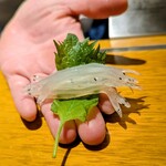 鶴八 - 白魚の大葉巻きの作り方を説明して下さいました。