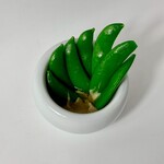 グリル モトカラ - 