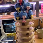 スシロー - ドリンク写真: