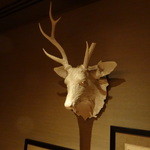 ブレストンコート ユカワタン - 