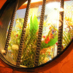 無国籍バル KAIKYO - 店内から望む丸窓がラブリーでとっても印象的♪なんか覗きたくなっちゃいますね★