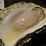 あんぽん - 牡蠣味くらべ