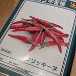 イエローカンパニー - 