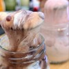極生プリン専門店 わ田 - 