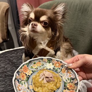 居るだけで美しくなれる場所。愛犬家にも優しい、癒しの秘密基地