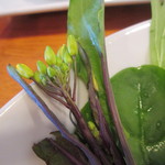 ピアチェーレ - 菜の花かな？