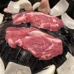 羊座 - 