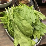 羊座 - 