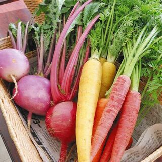 新鮮な産直野菜や旬食材をふんだんに使ったメニューを揃えてます