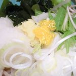 à la 麓屋 - 【'15/01/28撮影】冷たいサラリ 650円 のわかめ、おろし、生姜、水菜、柚子