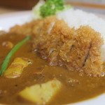 リッチなカレーの店 アサノ - かつカレー、ルー大盛り