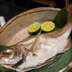 粥茶屋 写楽 - 真鯛酒蒸し