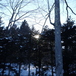 フォリオリーナ・デッラ・ポルタ・フォルトゥーナ - 