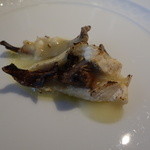 フォリオリーナ・デッラ・ポルタ・フォルトゥーナ - 