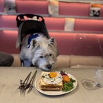 pace - 料理写真: