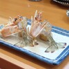 赤酢 謹賀 - 泳ぎ車エビ