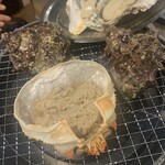 肉バル トビスケ - 