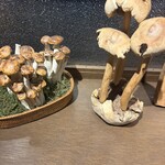 裏の山の木の子 - 