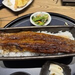 うなぎ 四代目 菊川 - 