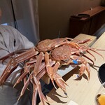 杦 - 