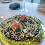 MAISON LAFITE - 