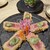 海鮮寿司居酒屋 すししもず - 料理写真: