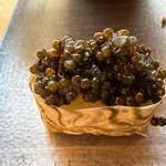 HAL LAB - 