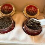 HAL LAB - 