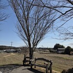 三たてそば 長畑庵 - 