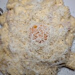 SCHMATZ Ginza Shochiku Sukuea