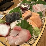 魚猫 - 