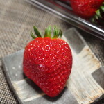玉城ふれあい農園 - 