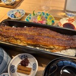 京都祇園鰻四代目菊川 - 