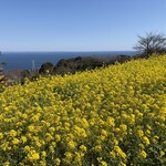 一夜城 ヨロイヅカ・ファーム - 