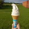 ヤツレン ソフトクリーム売店 - 