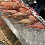 炭與海鮮與串燒與肴 Totttotto 難波千日前店 - 