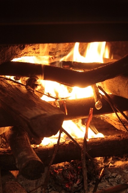 Jikabaisen Coffee Mori no Oto photo 5