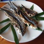 リアルカントリーイン　スピークイージー - 