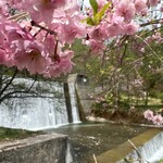 そば割烹 縁結び - 