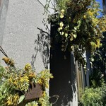 L’OMBELICO - 